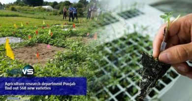 Agriculture research department Punjab find out 568 new varieties