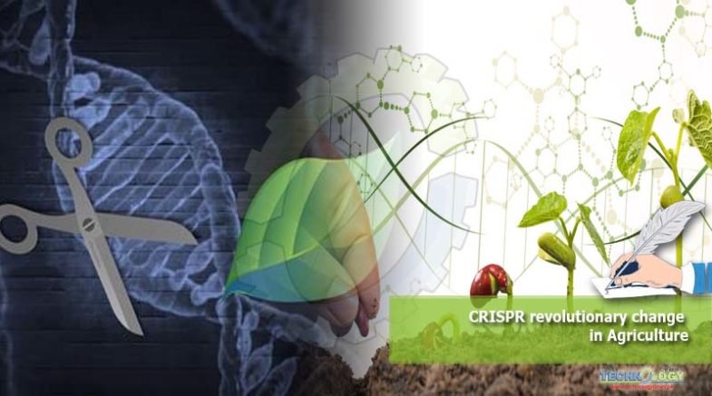 CRISPR revolutionary change in Agriculture
