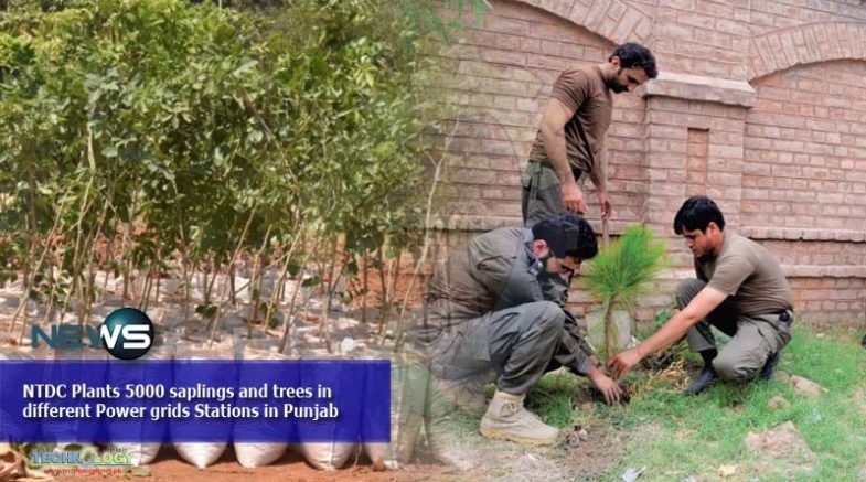 NTDC Plants 5000 saplings and trees in different Power grids Stations in Punjab
