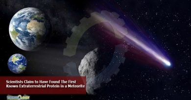 Scientists-Claim-to-Have-Found-The-First-Known-Extraterrestrial-Protein-in-a-Meteorite