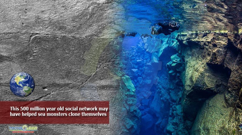 This 500 million year old social network may have helped sea monsters