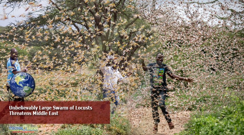 Unbelievably-Large-Swarm-of-Locusts-Threatens-Middle-East