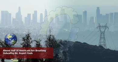 Almost-Half-Of-Americans-Are-Breathing-Unhealthy-Air-Report-Finds