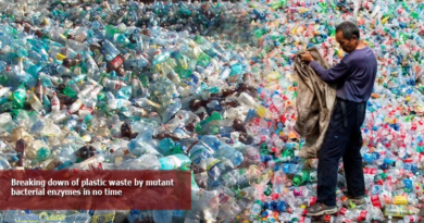 Breaking-down-of-plastic-waste-by-mutant-bacterial-enzymes-in-no-time