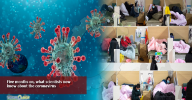 Five-months-on-what-scientists-now-know-about-the-coronavirus