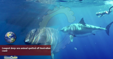 Longest-deep-sea-animal-spotted-off-Australian-coast