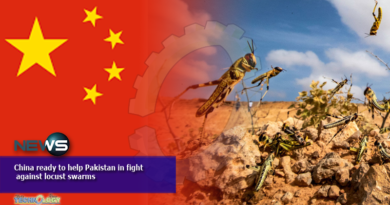 China ready to help Pakistan in the fight against locust swarms