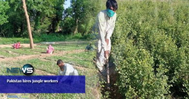 Pakistan hires jungle workers