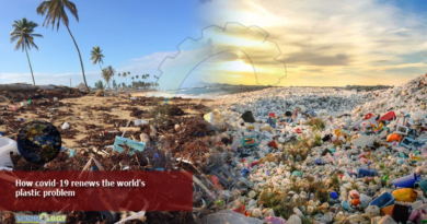 How covid-19 renews the world's plastic problem