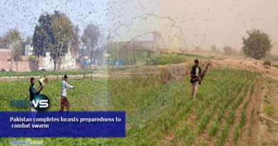 Pakistan completes locusts preparedness to combat swarm