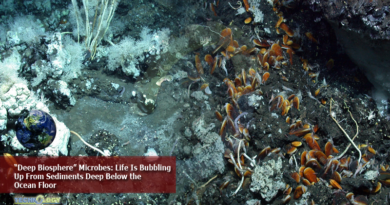 “Deep Biosphere” Microbes: Life Is Bubbling Up From Sediments Deep Below the Ocean Floor