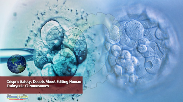 Crispr's Safety: Doubts About Editing Human Embryonic Chromosomes