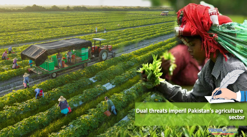 Dual-threats-imperil-Pakistans-agriculture-sector