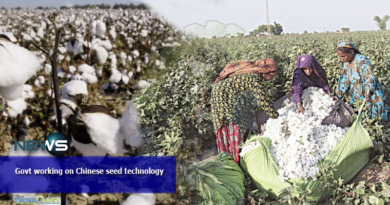 Govt-working-on-Chinese-seed-technology