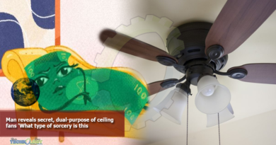 Man-reveals-secret-dual-purpose-of-ceiling-fans-What-type-of-sorcery-is-this