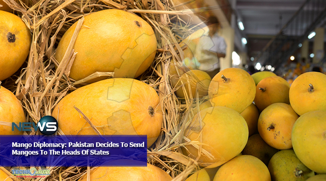 Mango Diplomacy: Pakistan Decides To Send Mangoes To The Heads Of States
