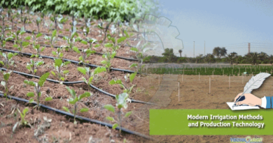 Modern-Irrigation-Methods-and-Production-Technology.