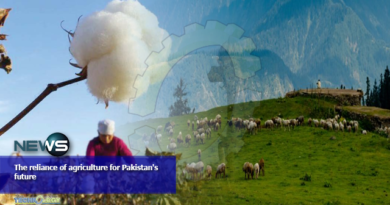 The reliance of agriculture for Pakistan's future