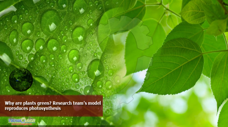 Why-are-plants-green-Research-teams-model-reproduces-photosynthesis