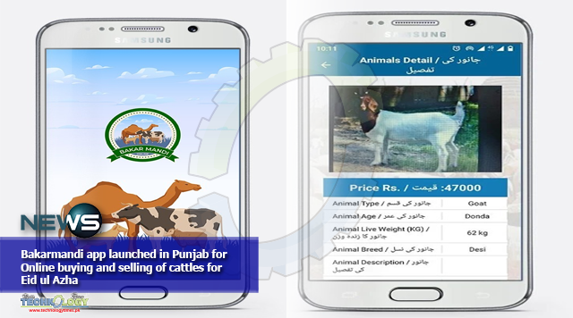 Bakarmandi app launched in Punjab for Online buying and selling of cattles for Eid ul Azha
