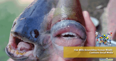 Fish-With-Resembling-Human-Mouth-Confuses-Social-Media.