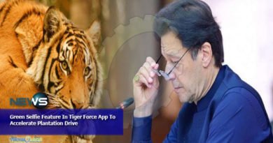Green Selfie Feature In Tiger Force App To Accelerate Plantation Drive