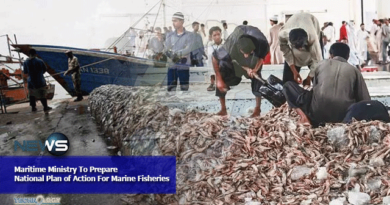 Maritime Ministry To Prepare National Plan of Action For Marine Fisheries