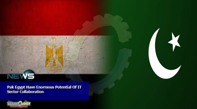 Pak Egypt Have Enormous Potential Of IT Sector Collaboration