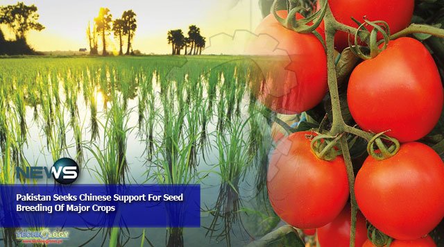 Pakistan Seeks Chinese Support For Seed Breeding Of Major Crops