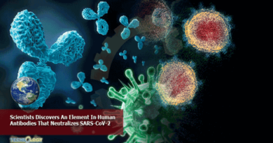 Scientists-Discovers-An-Element-In-Human-Antibodies-That-Neutralizes-SARS-CoV-2