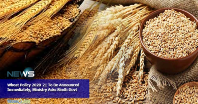 Wheat Policy 2020-21 To Be Announced Immediately, Ministry Asks Sindh Govt