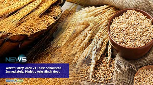 Wheat Policy 2020-21 To Be Announced Immediately, Ministry Asks Sindh Govt
