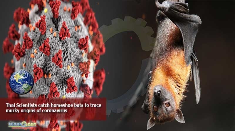 Thai Scientists catch horseshoe bats to trace murky origins of coronavirus