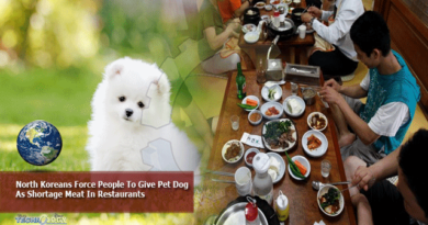 North-Koreans-Force-People-To-Give-Pet-Dog-As-Shortage-Meat-In-Restaurants