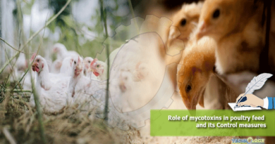 Role-of-mycotoxins-in-poultry-feed-and-its-Control-measures