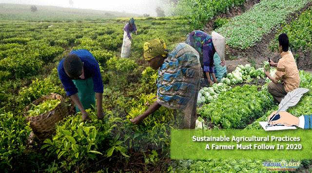 Sustainable-Agricultural-Practices-A-Farmer-Must-Follow-In-2020