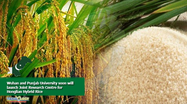 Wuhan and Punjab University soon will launch Joint Research Centre for Honglian Hybrid Rice