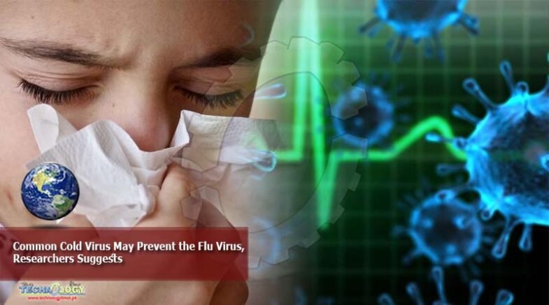Common cold virus may prevent the flu virus