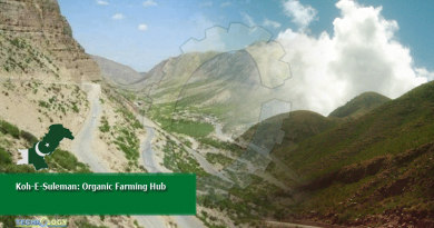 Koh-E-Suleman: Organic Farming Hub