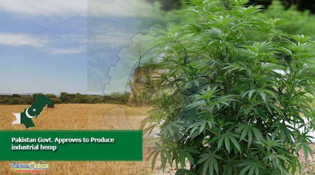 Pakistan Govt. Approves to Produce industrial hemp
