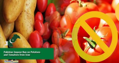 Pakistan impose ban on Potatoes and tomatoes from iran