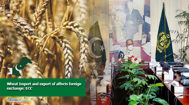 Wheat Import and export of affects foreign exchange: ECC