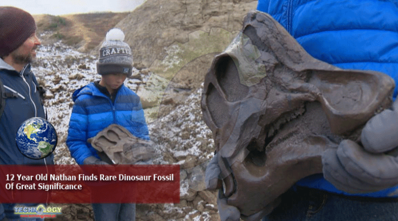 12 Year Old Nathan Finds Rare Dinosaur Fossil Of Great Significance