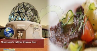 Aleph Farms to cultivate steaks on Mars