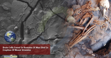 Brain Cells Found In Remains Of Man Died In Eruption Of Mount Vesuvius