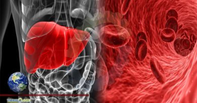 Cholesterol medicine affects the human organs differently