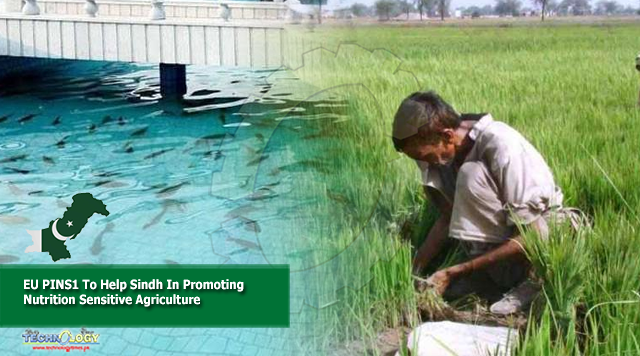 EU PINS1 To Help Sindh In Promoting Nutrition Sensitive Agriculture