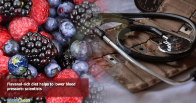 Flavanol-rich diet helps to lower blood pressure: scientists