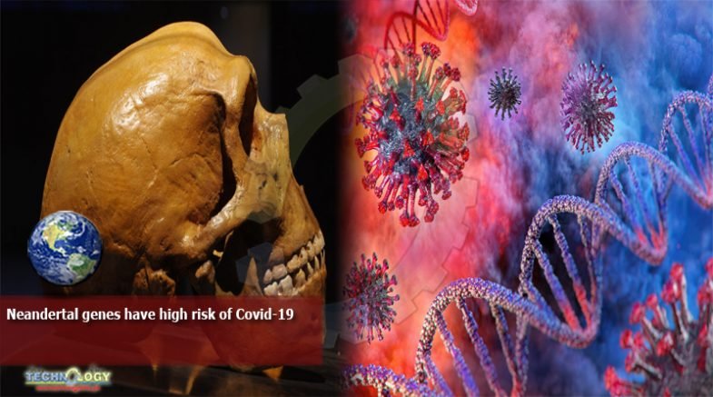 Neandertal genes have high risk of Covid-19