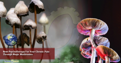 New Psychotherapy For Your Chronic Pain Through Magic Mushrooms